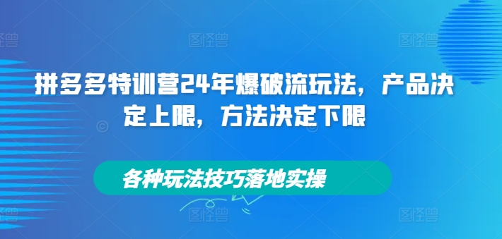 拼多多特训营24年爆破流玩法，产品决定上限，方法决定下限，各种玩法技巧落地实操-星禾网创星球