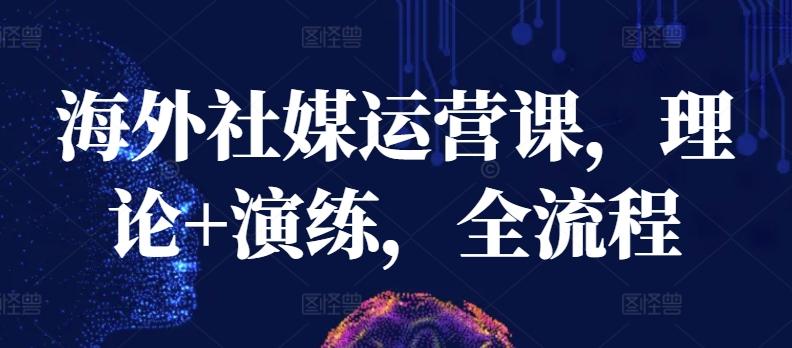海外社媒运营课，理论+演练，全流程-星禾网创星球