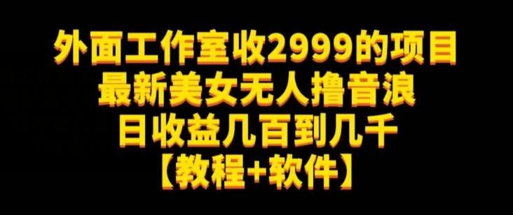 外面工作室收2999的项目最新美女无人撸音浪日收益几百到几千【教程+软件】（仅揭秘）-星禾网创星球