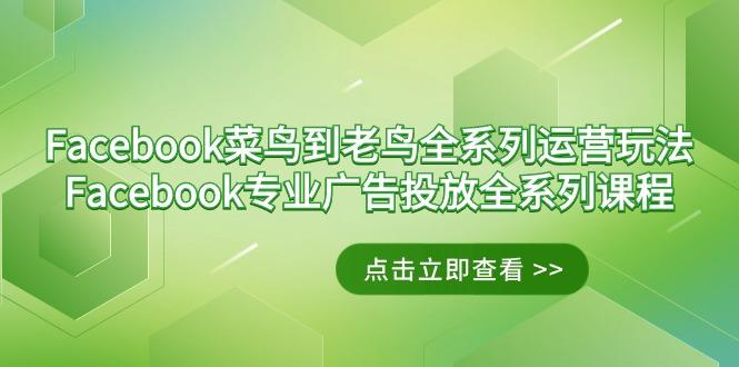 Facebook-菜鸟到老鸟全系列运营玩法+Facebook-专业广告投放全系列课程-星禾网创星球