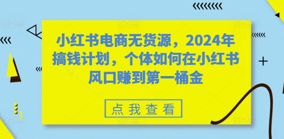 小红书电商无货源，2024年搞钱计划，个体如何在小红书风口赚到第一桶金-星禾网创星球