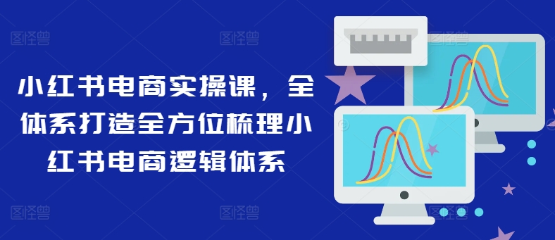 小红书电商实操课，全体系打造全方位梳理小红书电商逻辑体系-星禾网创星球