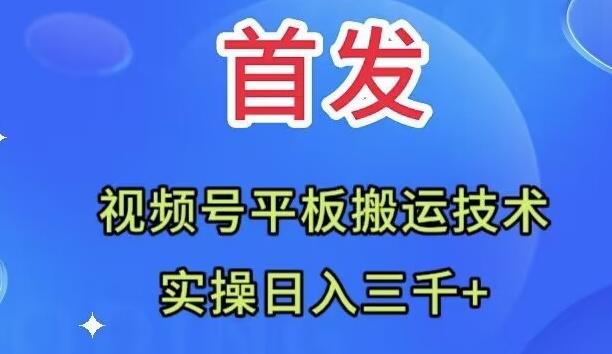 全网首发：视频号平板搬运技术，实操日入三千＋-星禾网创星球