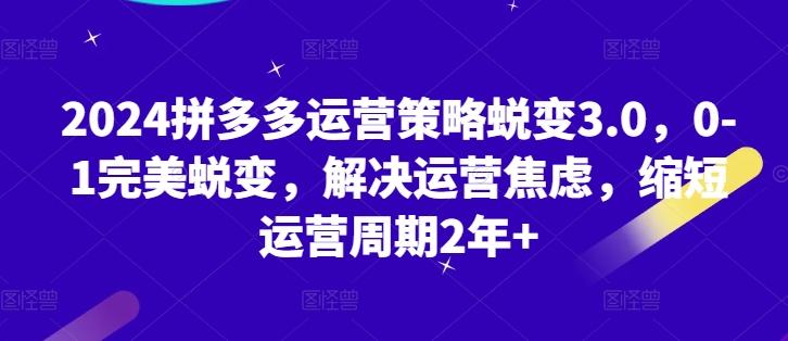 2024拼多多运营策略蜕变3.0，0-1完美蜕变，解决运营焦虑，缩短运营周期2年+-星禾网创星球