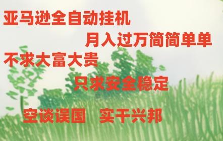亚马逊全自动浏览挂机-星禾网创星球