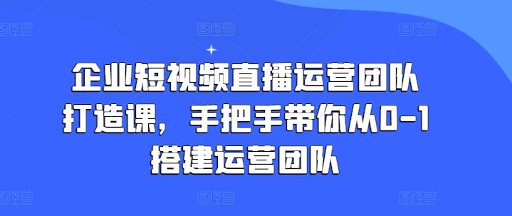 企业短视频直播运营团队打造课，手把手带你从0-1搭建运营团队-星禾网创星球