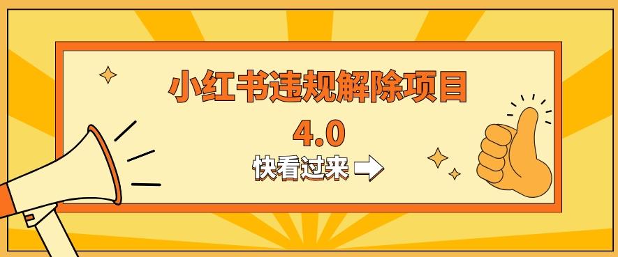 小红书违规掘金蓝海项目，日入800+（附带引流办法及解除办法）-星禾网创星球
