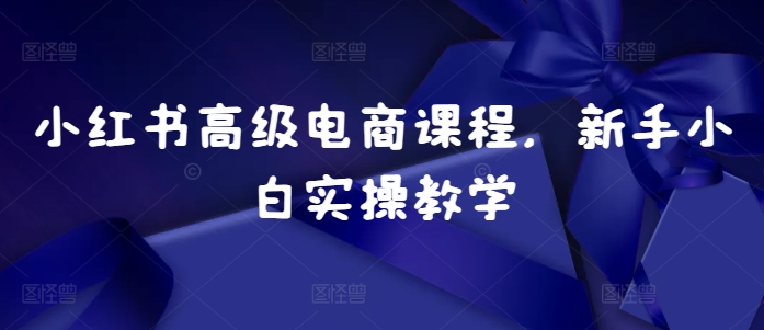 小红书高级电商课程，新手小白实操教学-星禾网创星球