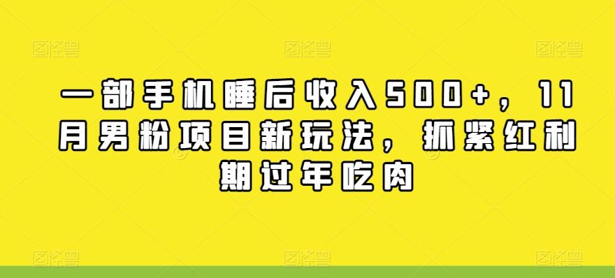 一部手机睡后收入500+，11月男粉项目新玩法，抓紧红利期过年吃肉-星禾网创星球