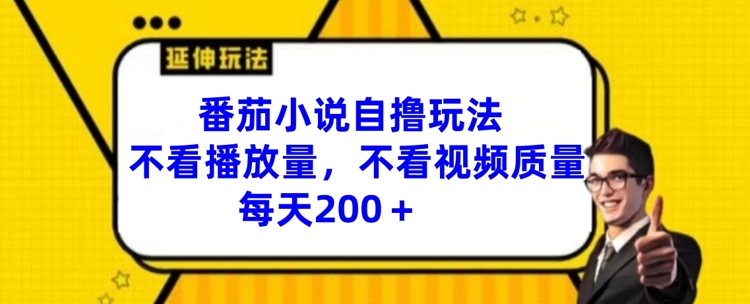 番茄小说自撸玩法，不看播放量，不看视频质量，每天200+【揭秘】-星禾网创星球
