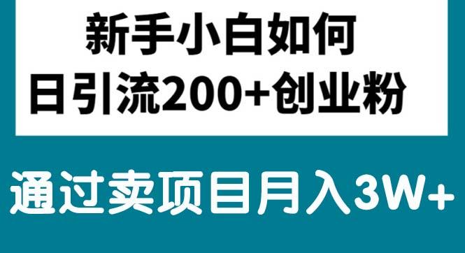 新手小白日引流200+创业粉,通过卖项目月入3W+-星禾网创星球