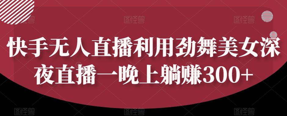 快手无人直播利用劲舞美女深夜直播一晚上躺赚300+-星禾网创星球