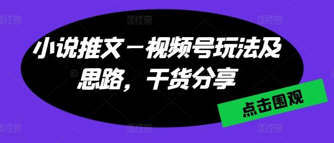 小说推文—视频号玩法及思路，干货分享-星禾网创星球