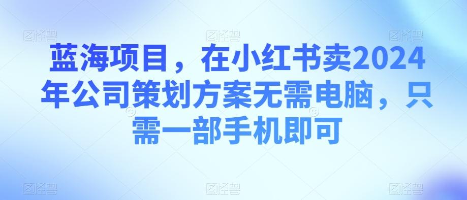 蓝海项目，在小红书卖2024年公司策划方案无需电脑，只需一部手机即可-星禾网创星球