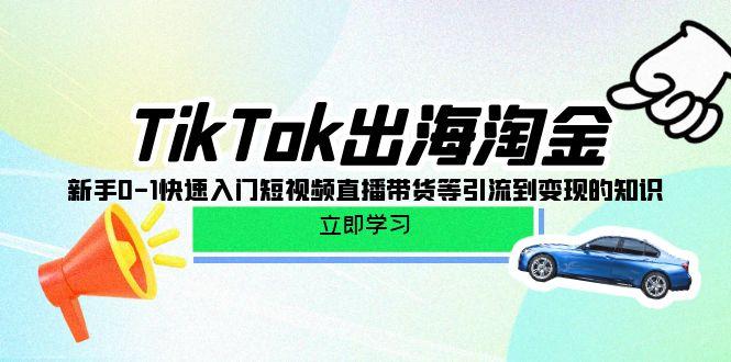(10035期)TikTok-出海淘金，新手0-1快速入门短视频直播带货等引流到变现的知识-星禾网创星球