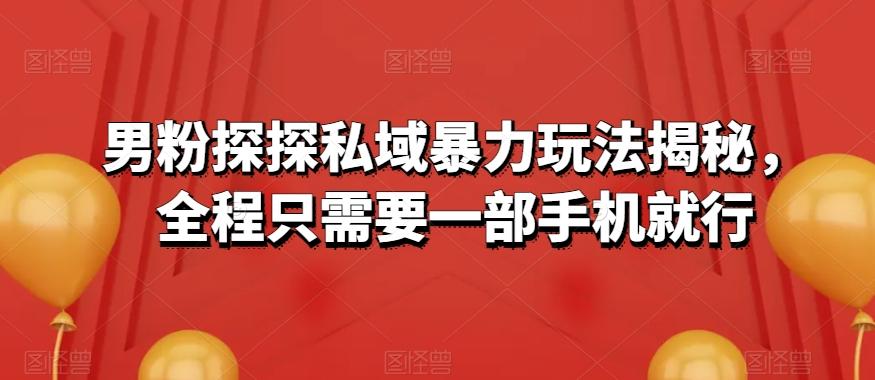男粉探探私域暴力玩法揭秘，全程只需要一部手机就行-星禾网创星球