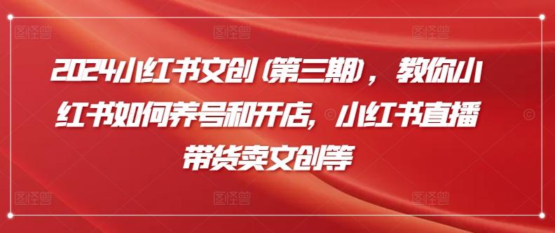 2024小红书文创(第三期)，教你小红书如何养号和开店，小红书直播带货卖文创等-星禾网创星球
