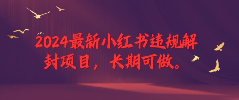 2024最新小红书违规解封项目，长期可做，一个可以做到退休的项目【揭秘】-星禾网创星球