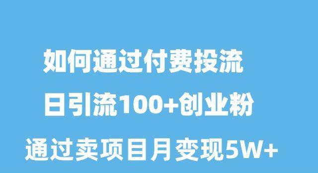 如何通过付费投流日引流100+创业粉月变现5W+-星禾网创星球