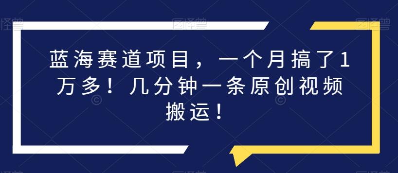 蓝海赛道项目，一个月搞了1万多！几分钟一条原创视频搬运！-星禾网创星球