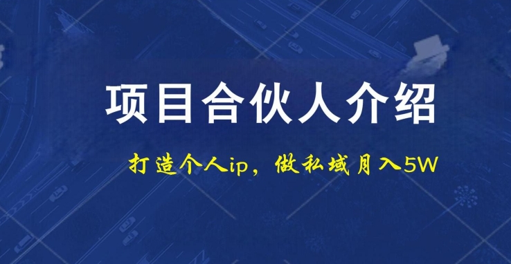 项目合伙人项目，打造个人IP，做私域月入5W，小白勿扰-星禾网创星球