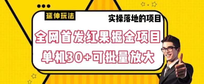 全网首发红果免费短剧掘金项目，单机30+可批量放大【揭秘】-星禾网创星球
