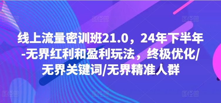 线上流量密训班21.0，24年下半年-无界红利和盈利玩法，终极优化/无界关键词/无界精准人群-星禾网创星球