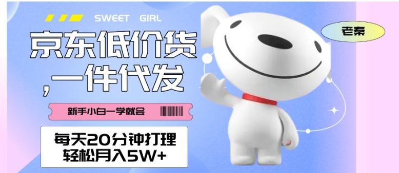 每天20分钟打理京东低价货，一件代发-轻松月入5W＋-星禾网创星球