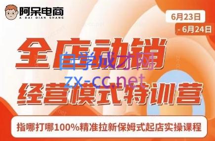阿呆电商·全店动销经营模式特训营(线下录音+思维导图)-星禾网创星球