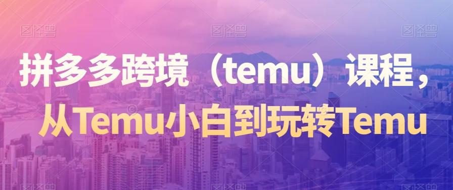 拼多多跨境（temu）课程，从Temu小白到玩转Temu-星禾网创星球