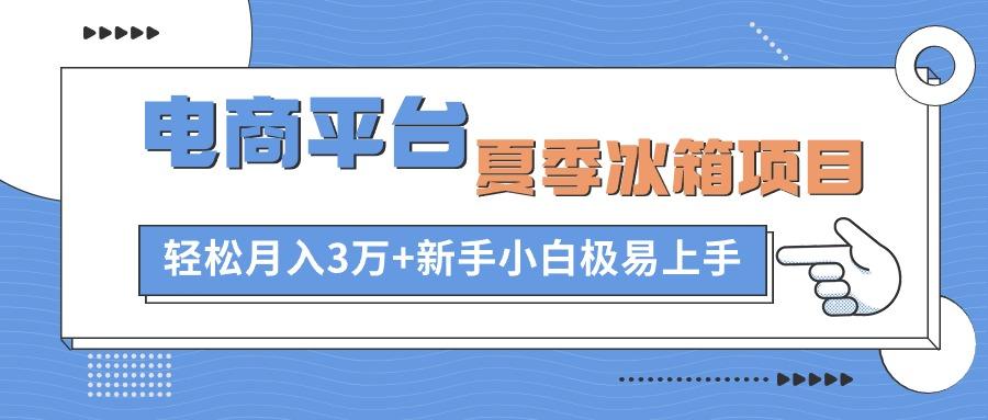 电商平台夏季冰箱项目，轻松月入3万+，新手小白极易上手-星禾网创星球
