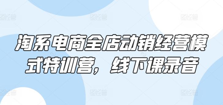 淘系电商全店动销经营模式特训营，线下课录音-星禾网创星球
