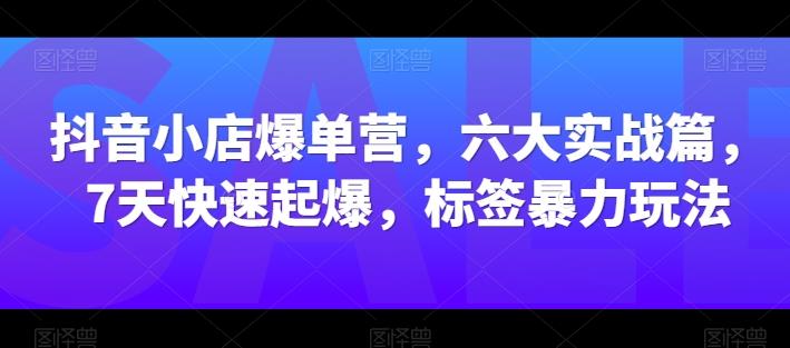 抖音小店爆单营，六大实战篇，7天快速起爆，标签暴力玩法-星禾网创星球
