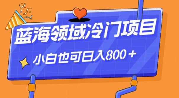 蓝海领域冷门赛道，一单39.9，日入800＋-星禾网创星球