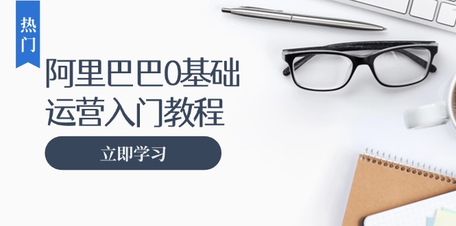 阿里巴巴运营零基础入门教程：涵盖开店、运营、推广，快速成为电商高手-星禾网创星球