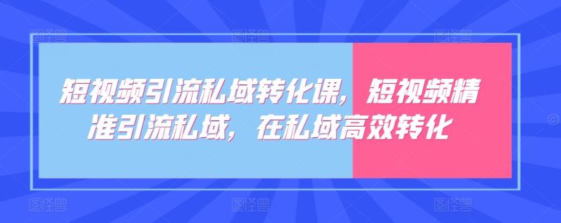 短视频引流私域转化课，短视频精准引流私域，在私域高效转化-星禾网创星球