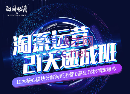 淘系运营21天速成班(更新7月)-星禾网创星球
