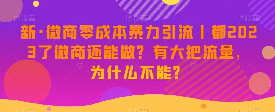 新·微商零成本暴力引流丨都2023了微商还能做？有大把流量，为什么不能？-星禾网创星球