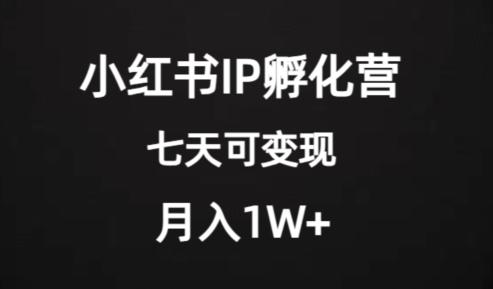 价值2000+的小红书IP孵化营项目，超级大蓝海，七天即可开始变现，稳定月入1W+-星禾网创星球