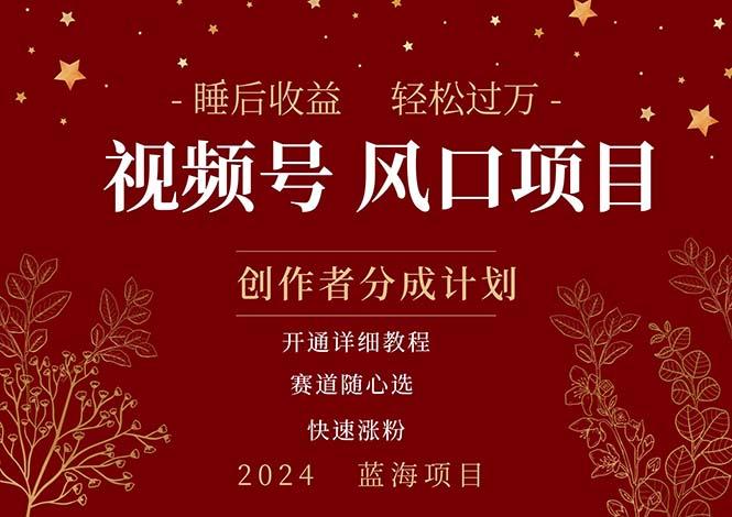 拥有睡眠收益的微信视频号大风口项目，轻松月入过万+，多赛道选择，可...-星禾网创星球
