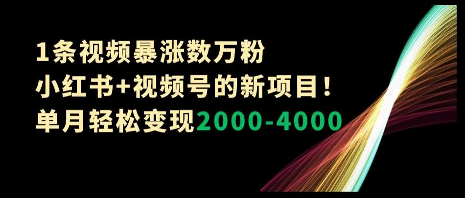 1条视频暴涨数万粉--小红书+视频号的新项目！单月轻松变现2000-4000【揭秘】-星禾网创星球