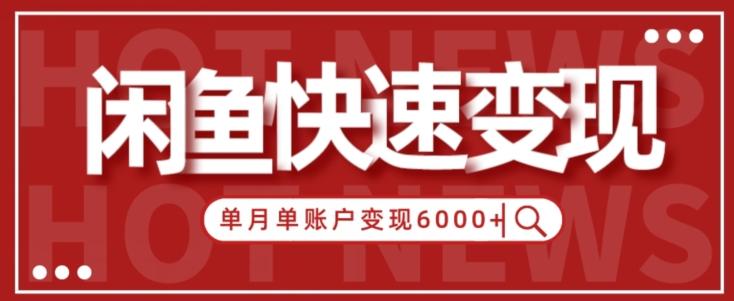 【新手项目】小白快速在闲鱼单月单账号变现6000+的秘密-星禾网创星球