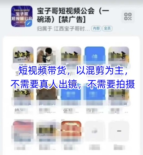 宝子哥头部团队短视频带货，以混剪为主，不需要真人出镜，不需要拍摄【更新9月】-星禾网创星球