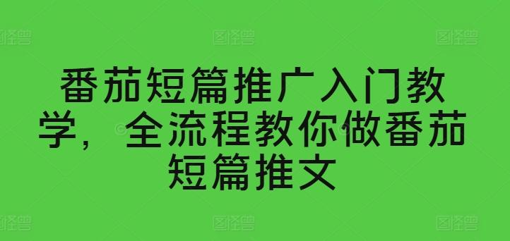 番茄短篇推广入门教学，全流程教你做番茄短篇推文-星禾网创星球