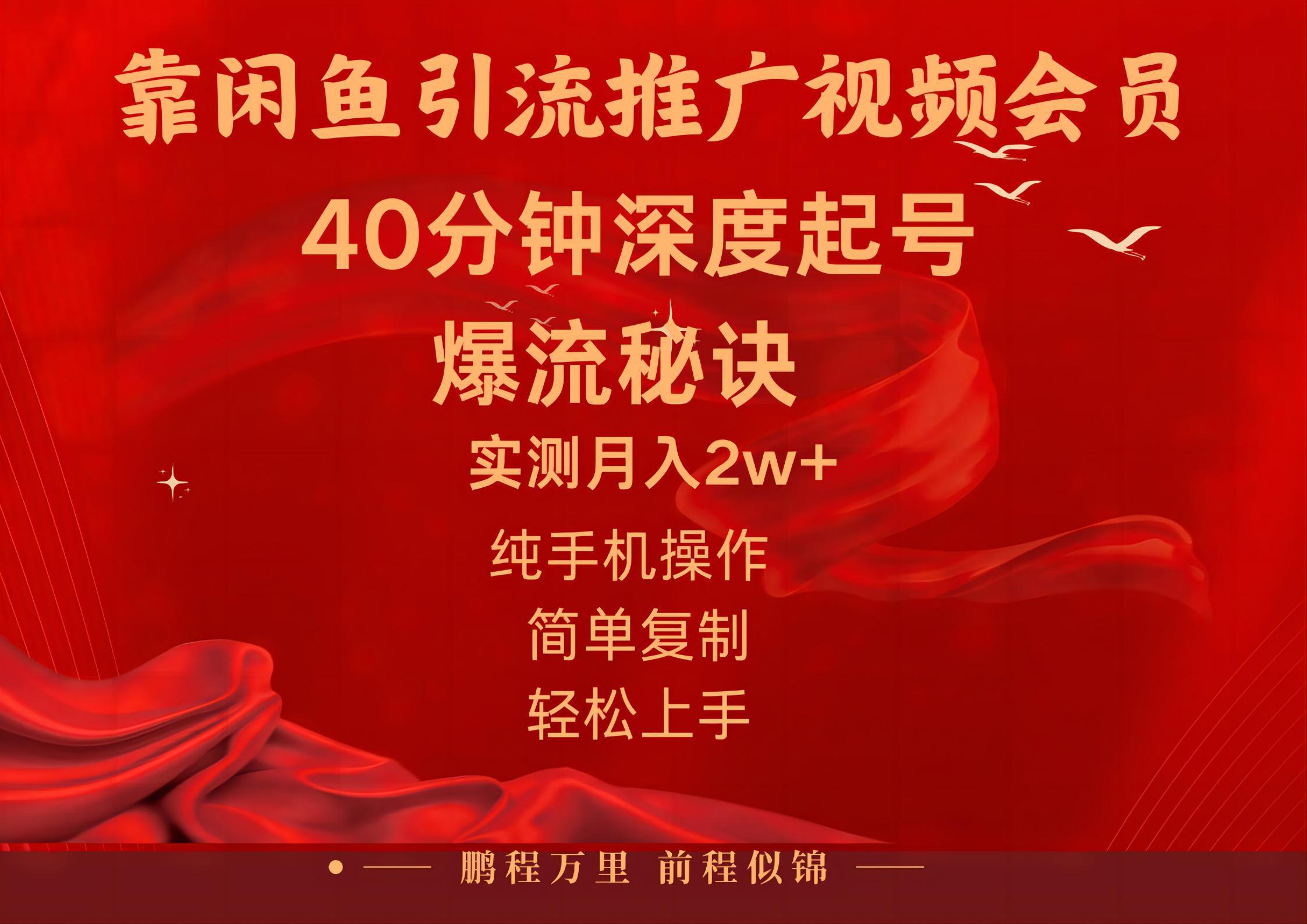 闲鱼暴力引流推广视频会员，能做到日入2W+，操作简单-星禾网创星球