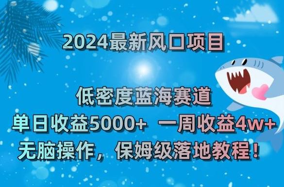 2024最新风口项目，低密度蓝海赛道，单日收益5000+，一周收益4w+！【揭秘】-星禾网创星球