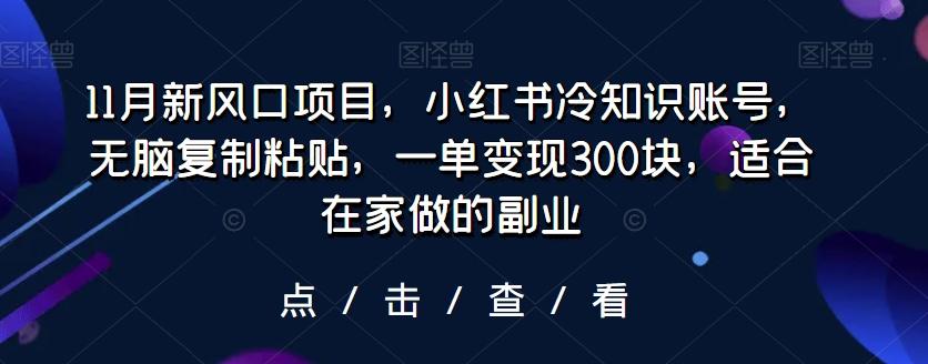 11月新风口项目，小红书冷知识账号，无脑复制粘贴，一单变现300块，适合在家做的副业-星禾网创星球