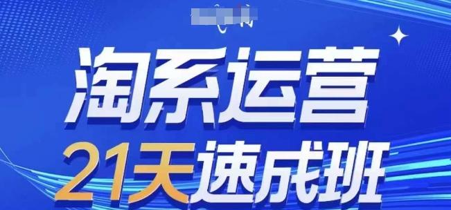 淘系运营21天速成班(更新24年7月)，0基础轻松搞定淘系运营，不做假把式-星禾网创星球