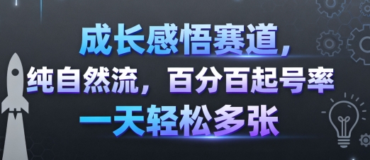 成长感悟赛道，纯自然流，百分百起号率 一天轻松多张-星禾网创星球