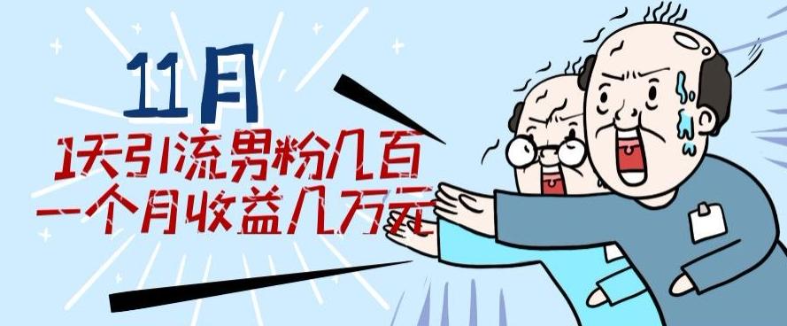 11月最新每天引流男粉300+一个月收益几万元-星禾网创星球
